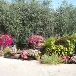 فندق مبيت وإفطار Domu De Palla- Iun-e5167