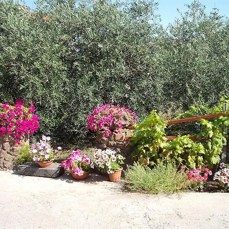 فندق مبيت وإفطار Domu De Palla- Iun-e5167