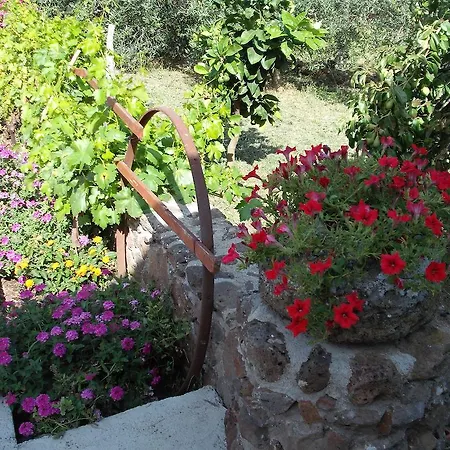 Domu De Palla- Iun-e5167 3* Bauladu