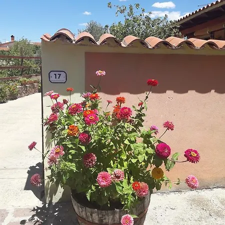 Domu De Palla- Iun-e5167 Bauladu