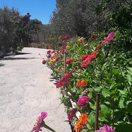 Domu De Palla- Iun-e5167