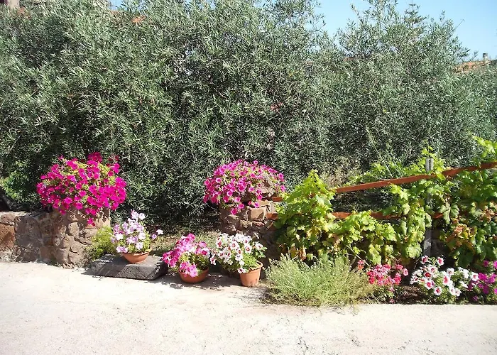 Bed & Breakfast Domu De Palla- Iun-e5167