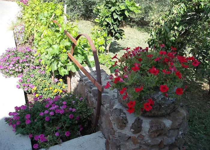 Domu De Palla- Iun-e5167 3* Bauladu