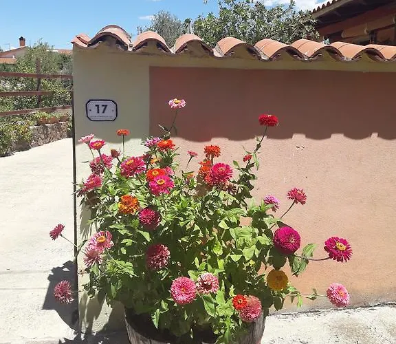 Domu De Palla- Iun-e5167 Bauladu