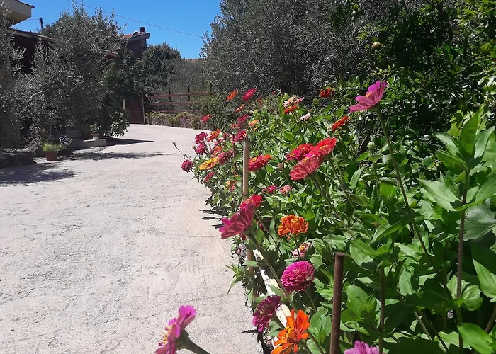 Domu De Palla- Iun-e5167